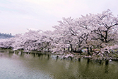 东京